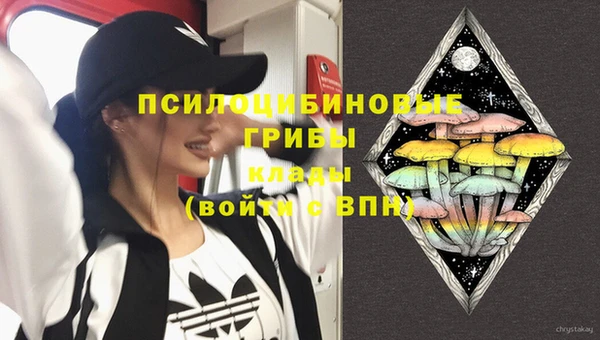 apvp Армянск