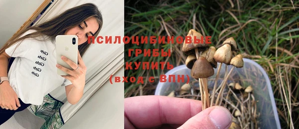 спайс Аркадак