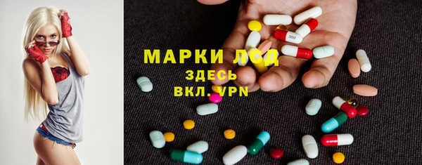 спайс Аркадак
