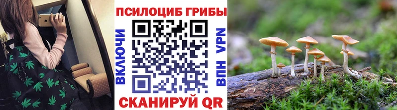 Псилоцибиновые грибы Psilocybine cubensis Среднеколымск